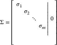 numbered Display Equation