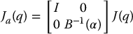 numbered Display Equation