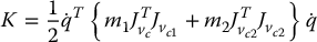 numbered Display Equation