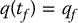 numbered Display Equation